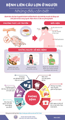 Phòng, chống bệnh liên cầu lợn sang người